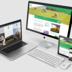 Strand Vets - Website Design - Farm