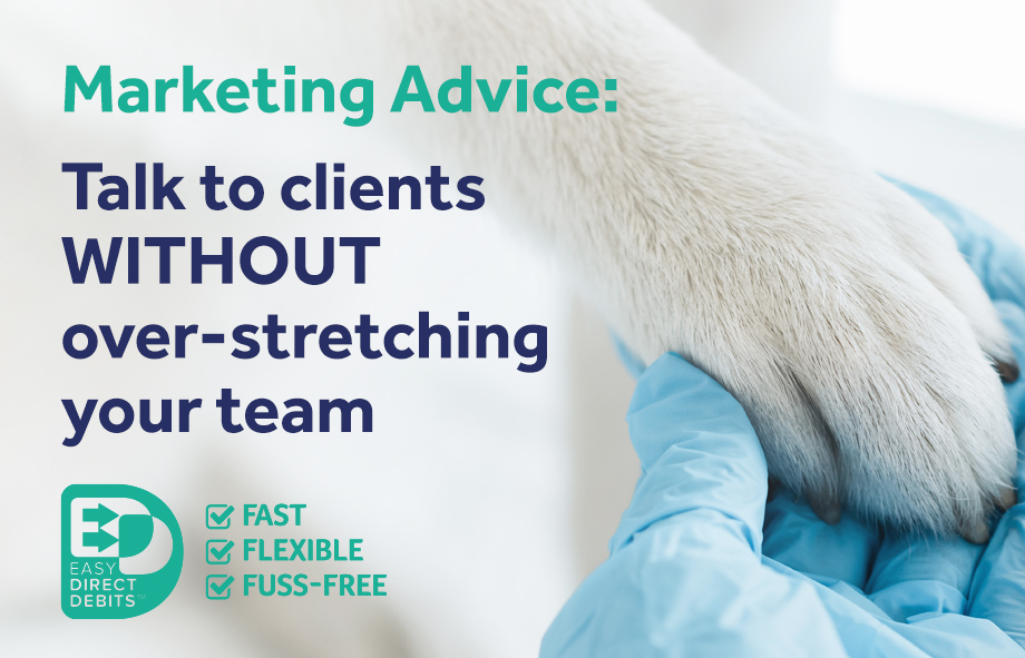 Marketing Advice: Talk to clients WITHOUT over stretching your team