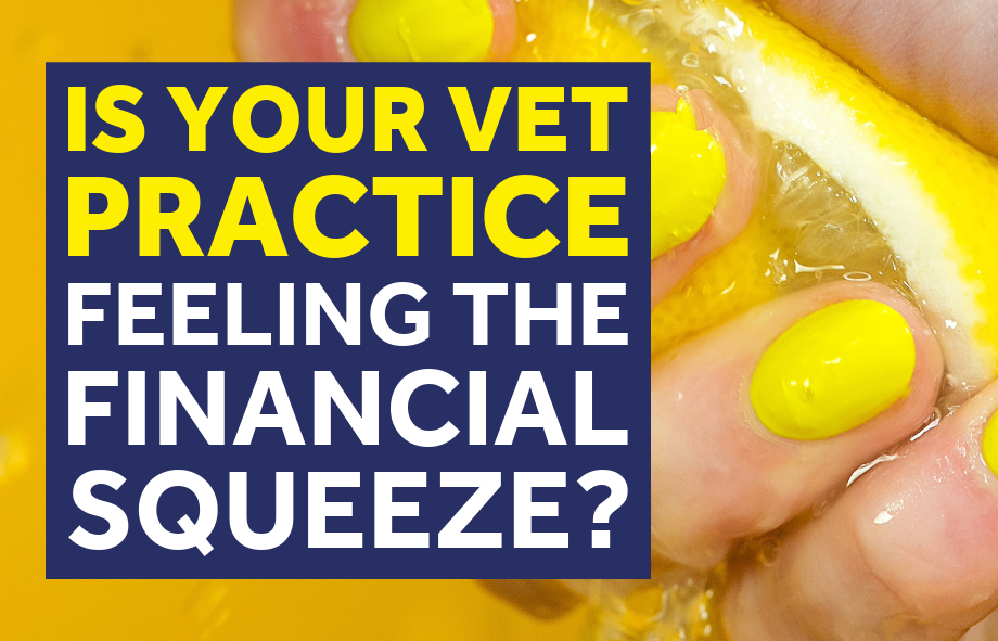 Is your vet practice feeling the economic squeeze yet? | Easy Direct Debits